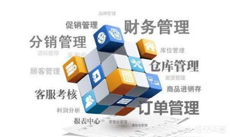 零編程經驗，也能打造企業級管理軟件？——新時代下的企業軟件開發新路徑